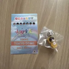 なにわ男子 東京ドーム限定 1/13 なにふぁむぱす めじるしチャーム セット