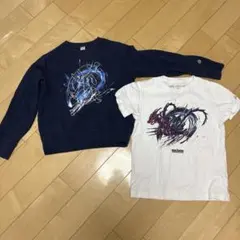 Item thumbnail for item e0c9f454-7967-4ed2-835b-f24061b84770