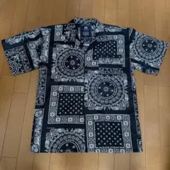 Item thumbnail for item 9af79c3e-4b2d-4631-abb3-54f820b1e14c