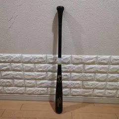 Item thumbnail for item 492a9bd9-7a9f-4fac-a4e3-3f16a29ac9ca