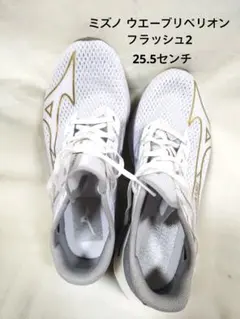 ミズノ ウエーブリベリオン フラッシュ2　25.5センチのサムネイル