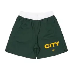 Item thumbnail for item d7263543-4b9b-4a64-b63e-cdc02506ac22