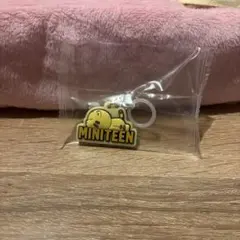 MINITEEN ミニティーン ぷっくりめじるしアクセサリー ホシ