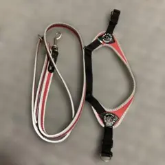 Item thumbnail for item 92ce472a-8fa4-4f29-b795-a91f3a5e839a