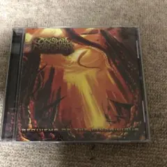 Cesspool Of Corruption 　デスメタル