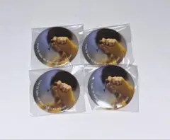 るぅと 実写缶バッジ まとめ売り