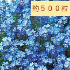 クッパ様 リクエスト 3点 まとめ商品