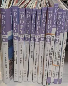 【書き込みなし】2024年度版 中学3年 ポピー 全教科まとめ売り（1年分）