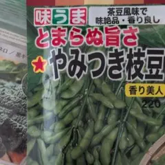 黒大豆&枝豆の種 各15粒 セット 使い切り小分けセット - メルカリ