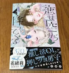 最新刊 恋は空から降ってくる 2巻