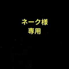 ネーク様 リクエスト 2点 まとめ商品