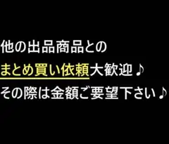 Item thumbnail for item cfc79171-884e-4a12-95c0-3c3dd0a2a699