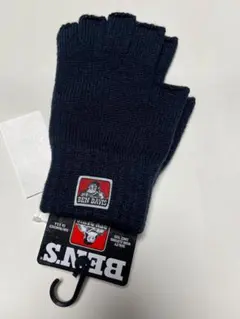 Item thumbnail for item 34a2060b-d6ba-4f3a-a8f1-4d2ba520c2f5