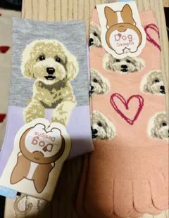 Dog Designs トイプードル　アプリコット　靴下　5本指ソックス