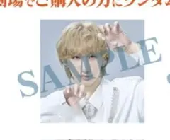 キャッテリア ランダムスクエアブロマイド 劇場限定特典 ベンガル 福澤侑