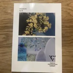 SEVENTEEN 会報 CARATMAGAZINE vol.12