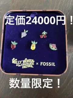 数量限定 FOSSIL Willy Wonka フルーツピアスセット