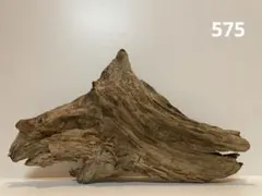 流木【575】
