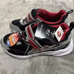 Item thumbnail for item 2df74f2a-fef4-403e-8ff1-6d99a8f57862