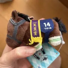 競馬　ウオッカ ぬいぐるみ 14番 天皇賞