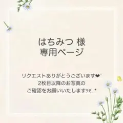 はちみつ様 おまとめ3点
