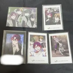 ビバレン シャタコレ