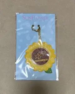 FANTASTICS SUNFLOWER 缶バッジキーホルダー