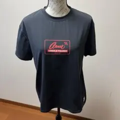 新品未使用品　アーノルドパーマーレディースＴシャツのサムネイル