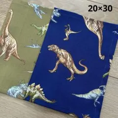 新柄入荷 ランチョンマット 恐竜 男の子 20×30 2枚セット 給食ナフキン