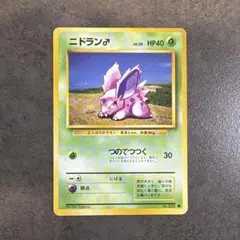 旧裏 ニドラン♂