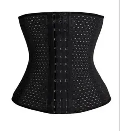 Item thumbnail for item 51139b19-a7e8-4ad9-9a08-35b0cc459047