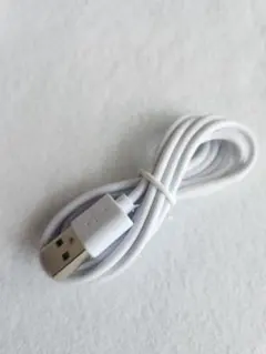 Item thumbnail for item 25eb1d48-a8bd-4d39-8214-0fba8b14294f