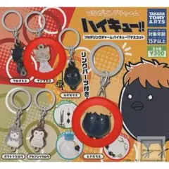 ハイキュー!! めじるしチャームのサムネイル