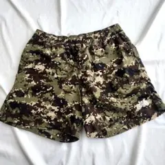 美品 ノースフェイス ノベルティバーサタイルショーツ バンダナ柄 S