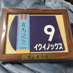 2026年最新】イクイノックス 有馬記念 ミニゼッケンの人気アイテム