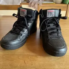 Item thumbnail for item 299623fd-b70e-47f1-bdd8-35838f2c4ccf