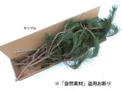 Item thumbnail for item 17d6ca5c-ba84-46cd-ab2b-7c3688128161