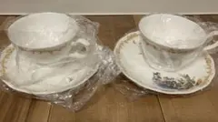 未使用⭐︎東京ディズニーシー ミラコスタ 10回宿泊記念食器2枚セット