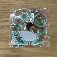 バレーボール 日本代表 大阪ブルテオン 甲斐優斗 モバ 가챠 クリスマス リース