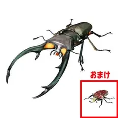 【いきもの大図鑑アドバンス クワガタ02】エラフスホソアカクワガタ（グリーン）