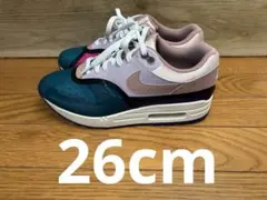 NIKE ナイキ　Air Max 1 カラーブロック