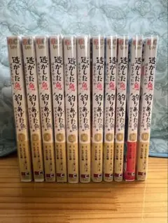 11巻セット 逃した魚は大きかったが釣りあげた魚が大きすぎた件