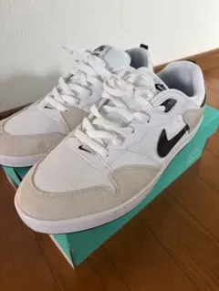 NIKE エスビー アリウープ　29cm
