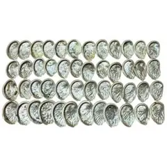 お値下げ　アワビの貝殻　48個