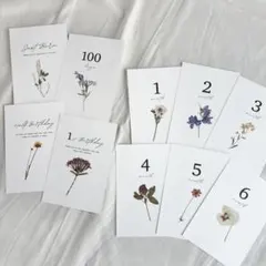 Item thumbnail for item 6cf4ad1c-ea86-441c-bee2-65b4dea38c6e