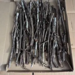 Item thumbnail for item 9c07a52b-2f02-4d42-9402-c328e95bb006