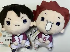 ハイキュー もちぴこ ぬいぐるみ セット ①
