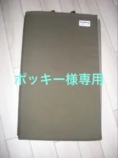 Item thumbnail for item 6622a224-fbd8-4bf9-9919-fb2830a0b248