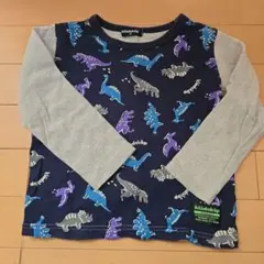 klädskåp 恐竜柄 トレーナー 110 2枚セット