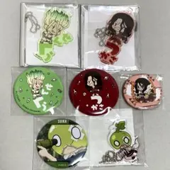 Dr.STONE 石神 千空 獅子王 司 缶バッジ おなまえぴたんコ ドクスト